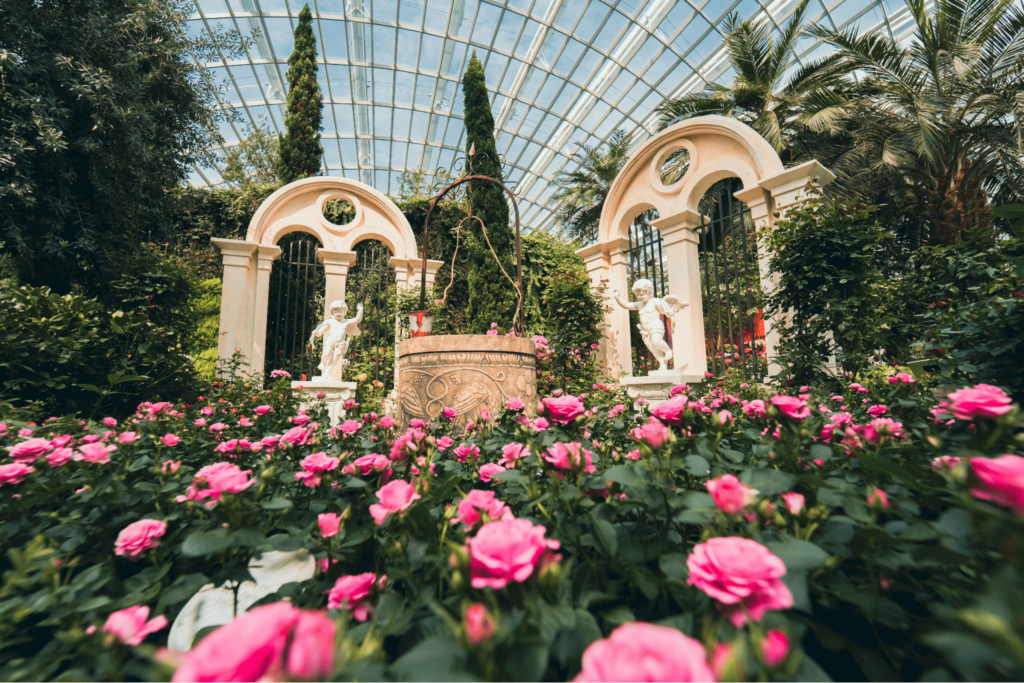 Crafting Luxury Rose Arrangements for High-End Singapore Social Events